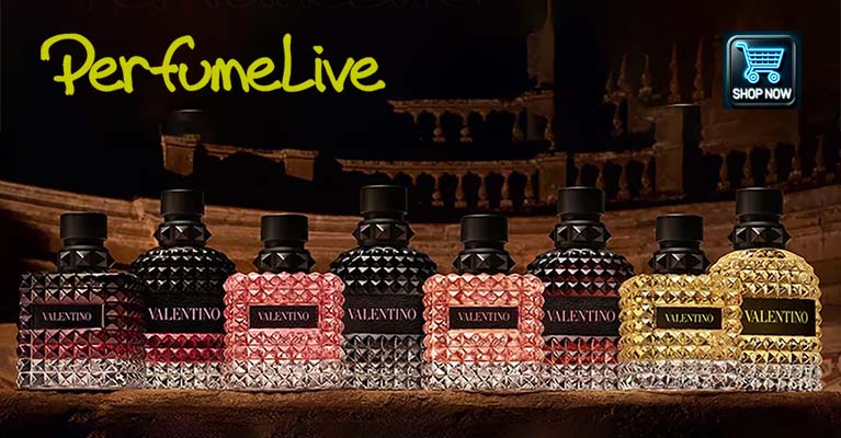 Valentino banner 2024