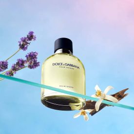 Dolce&Gabbana Pour Homme by Dolce&Gabbana 4.2 Oz Eau de Toilette Spray for Men