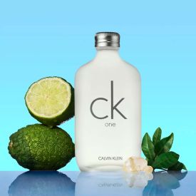 CK One by Calvin Klein 3.4 Oz Eau de Toilette Spray for Unisex