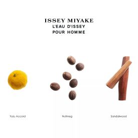 L'Eau D'Issey Pour Homme by Issey Miyake 6.7 Oz Eau de Toilette Spray for Men