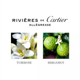 Rivieres De Cartier Allegresse by Cartier 3.4 Oz Eau de Toilette Spray for Unisex