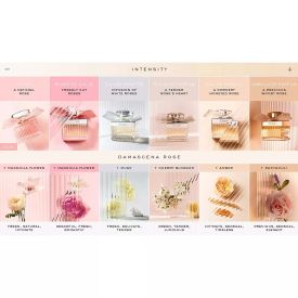 Chloe Eau De Parfum by Chloe 4.2 Oz Spray for Women