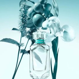 Tiffany Eau de Parfum by Tiffany & Co. 2.5 Oz Spray for Women