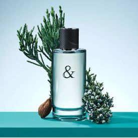 Tiffany & Love for Him by Tiffany & Co. 1.7 Oz Eau de Toilette Spray for Men