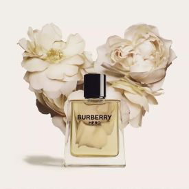 Hero Eau de Toilette by Burberry 5.0 Oz Spray for Men