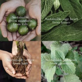 Acqua di Gio Pour Homme Eau de Parfum by Giorgio Armani 4.2 Oz Spray for Men