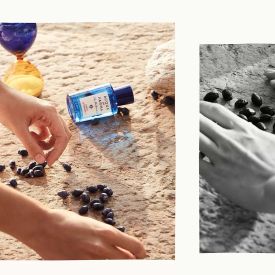 Blu Mediterraneo Mirto Di Panarea by Acqua Di Parma 5 Oz Eau de Toilette Spray for Unisex