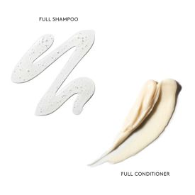 Virtue Full Professional Shampoo and Conditioner Jumbo Duo Set 2 X 17 Oz for Women