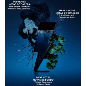 Bad Boy Cobalt Eau de Parfum by Carolina Herrera 5.1 Oz Spray for Men