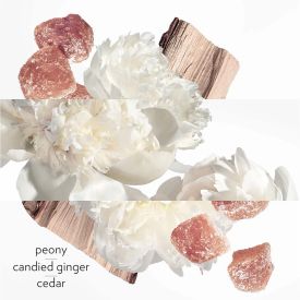 Twilly D'Hermes Eau Ginger by Hermes 2.8 Oz Eau de Parfum Spray for Women